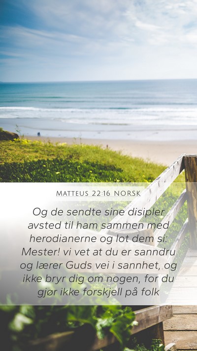 Matteus 22:16 NORSK Bible Verse Image