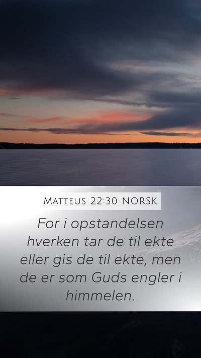 Matteus 22:30 NORSK Bible Verse Image