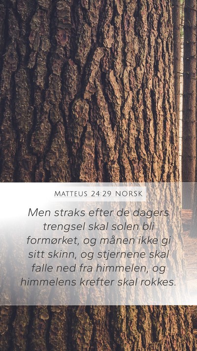 Matteus 24:29 NORSK Bible Verse Image