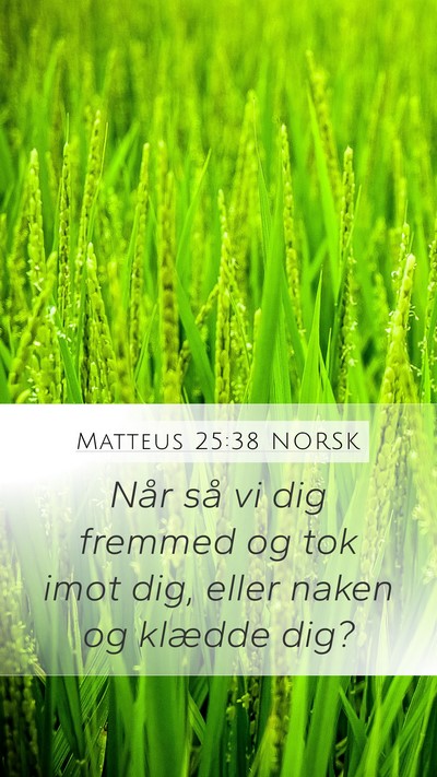 Matteus 25:38 NORSK Mobile Phone Wallpaper - Når så vi dig fremmed og tok imot dig, eller - Mobile Bible Verse Wallpaper