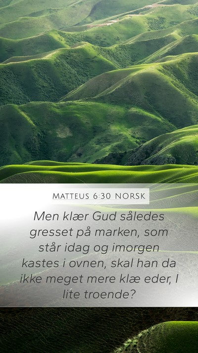 Matteus 6:30 NORSK Bible Verse Image