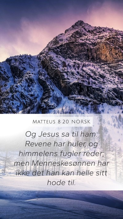 Matteus 8:20 NORSK Bible Verse Image