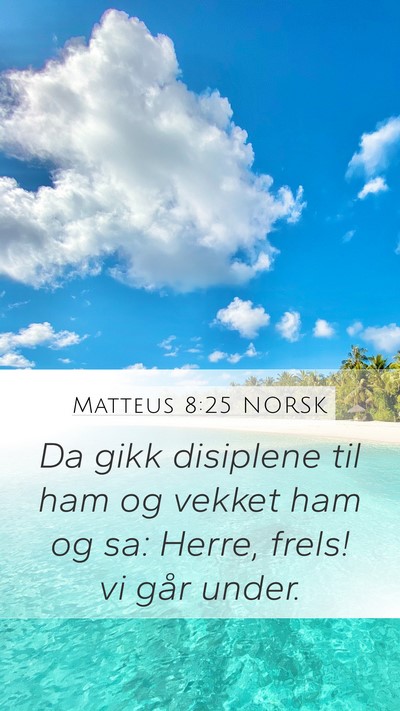 Matteus 8:25 NORSK Bible Verse Image