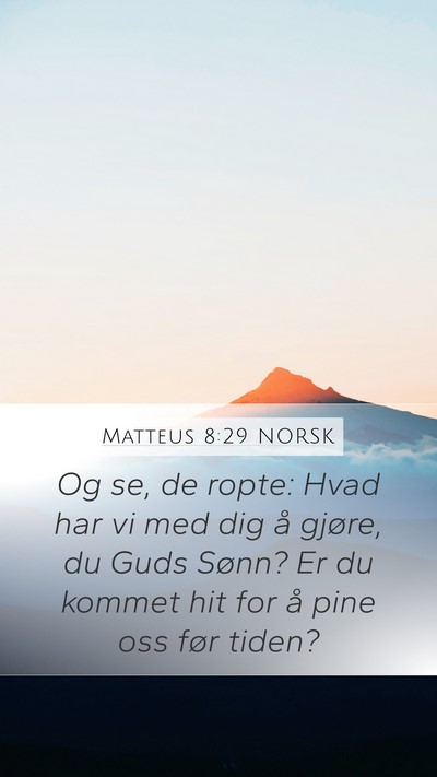 Matteus 8:29 NORSK Bible Verse Image