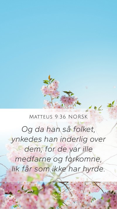 Matteus 9:36 NORSK Bible Verse Image