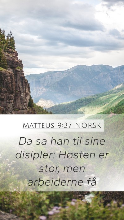 Matteus 9:37 NORSK Bible Verse Image