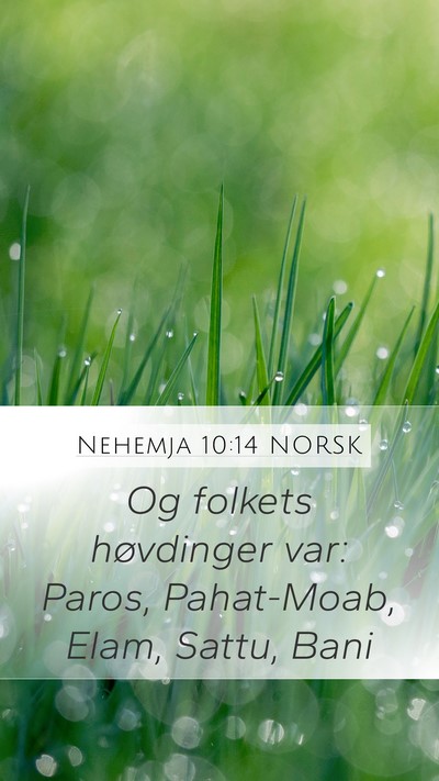 Nehemja 10:14 NORSK Bible Verse Image