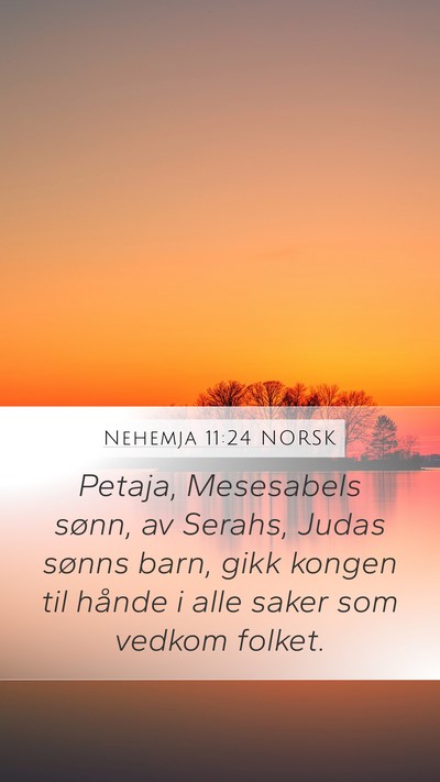 Nehemja 11:24 NORSK Bible Verse Image