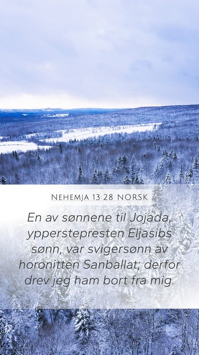 Nehemja 13:28 NORSK Bible Verse Image