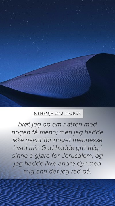 Nehemja 2:12 NORSK Bible Verse Image