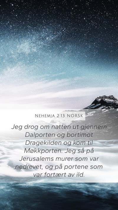 Nehemja 2:13 NORSK Bible Verse Image