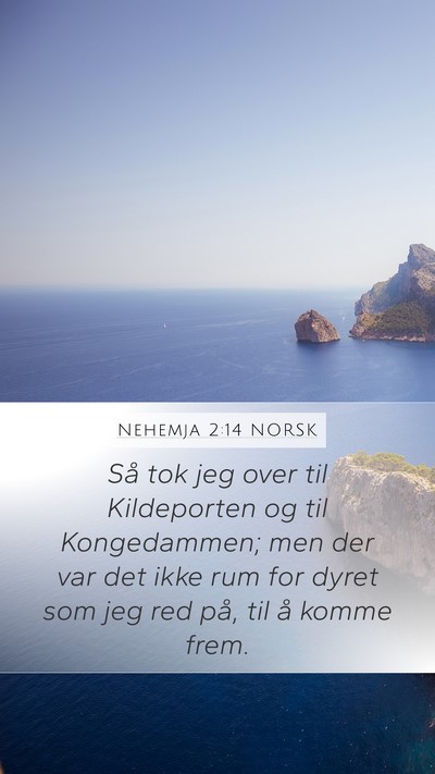 Nehemja 2:14 NORSK Bible Verse Image