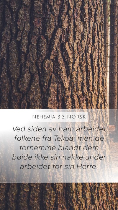 Nehemja 3:5 NORSK Bible Verse Image