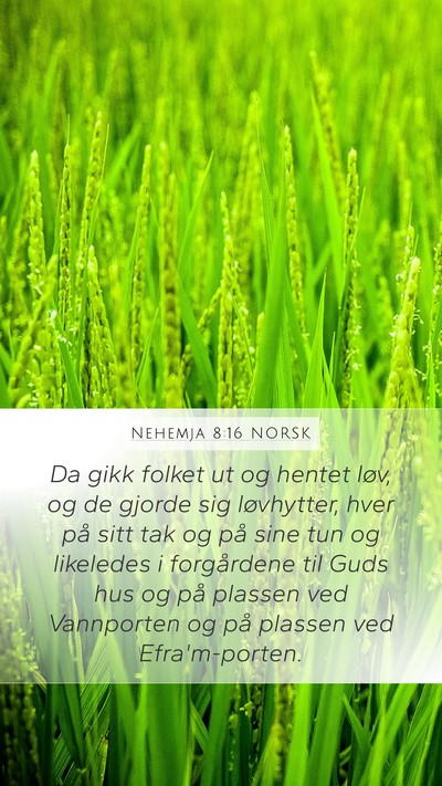 Nehemja 8:16 NORSK Bible Verse Image
