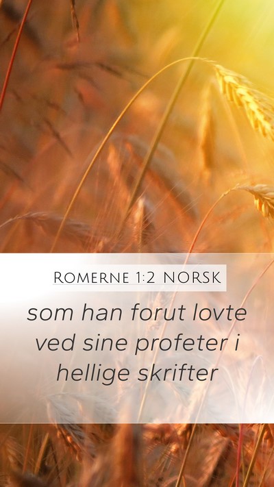 Romerne 1:2 NORSK Bible Verse Image
