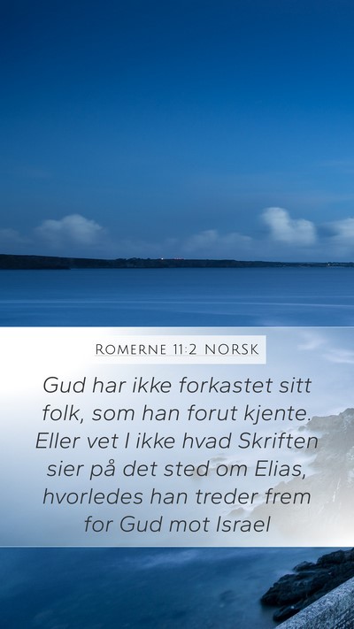 Romerne 11:2 NORSK Bible Verse Image