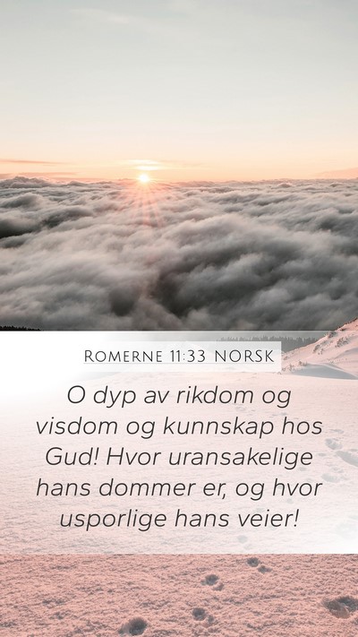 Romerne 11:33 NORSK Bible Verse Image