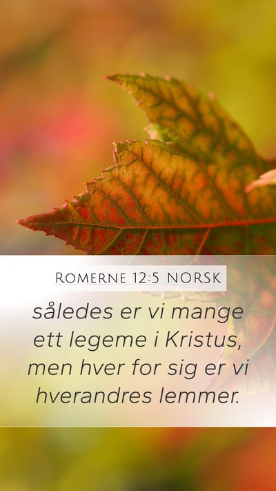 Romerne 12:5 NORSK Bible Verse Image