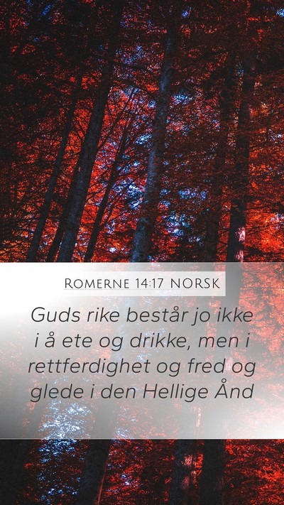 Romerne 14:17 NORSK Bible Verse Image