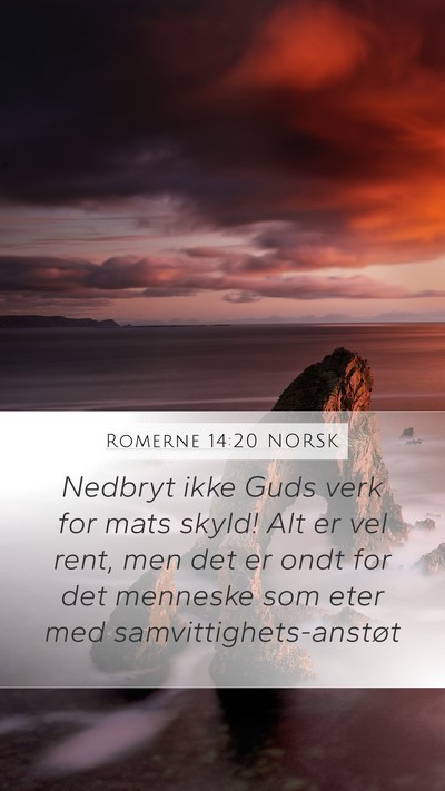 Romerne 14:20 NORSK Bible Verse Image