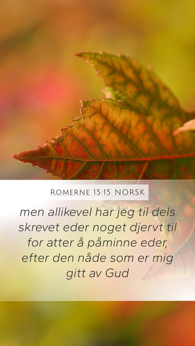 Romerne 15:15 NORSK Bible Verse Image