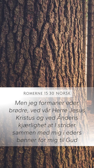 Romerne 15:30 NORSK Bible Verse Image