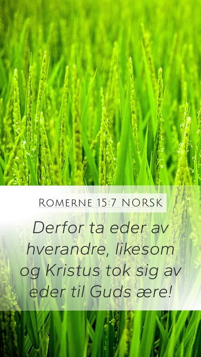 Romerne 15:7 NORSK Bible Verse Image