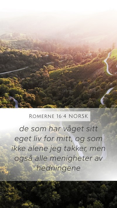 Romerne 16:4 NORSK Bible Verse Image