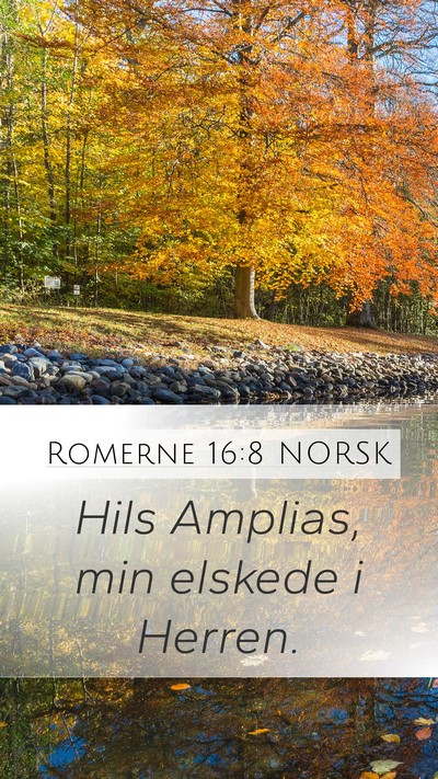 Romerne 16:8 NORSK Mobile Phone Wallpaper - Hils Amplias, min elskede i - Mobile Bible Verse Wallpaper