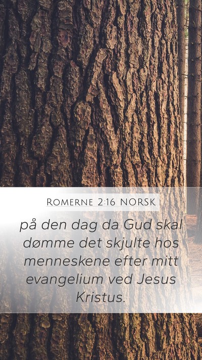 Romerne 2:16 NORSK Bible Verse Image