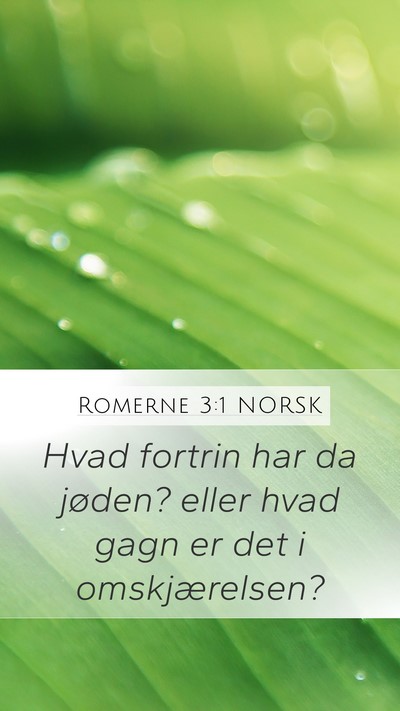 Romerne 3:1 NORSK Bible Verse Image