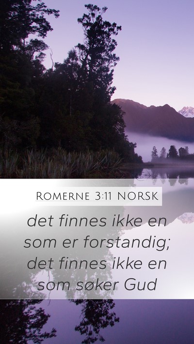 Romerne 3:11 NORSK Bible Verse Image
