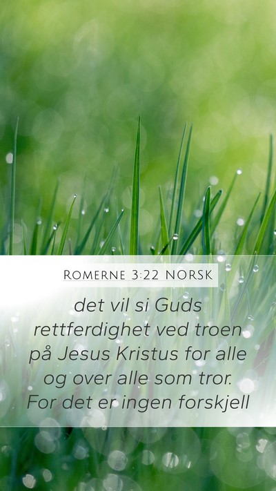 Romerne 3:22 NORSK Bible Verse Image