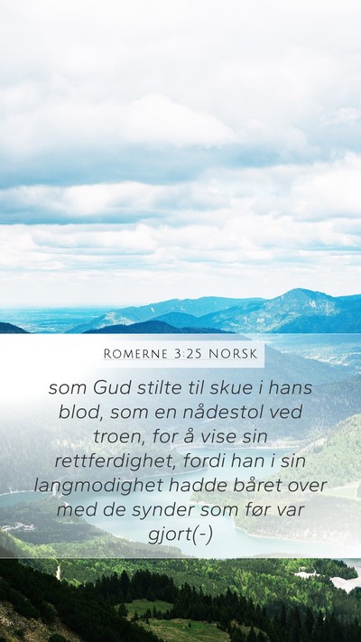 Romerne 3:25 NORSK Bible Verse Image