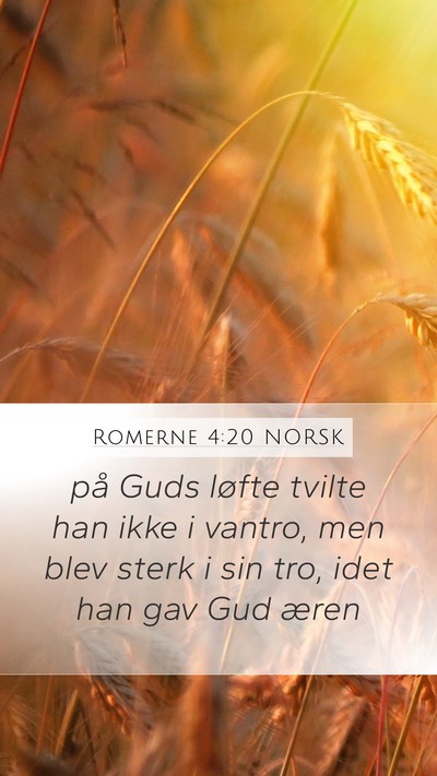 Romerne 4:20 NORSK Bible Verse Image