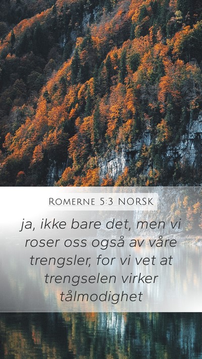 Romerne 5:3 NORSK Bible Verse Image