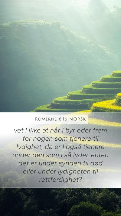 Romerne 6:16 NORSK Bible Verse Image