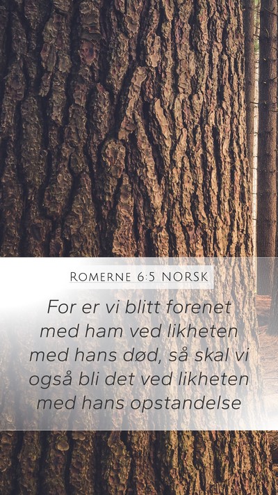 Romerne 6:5 NORSK Bible Verse Image