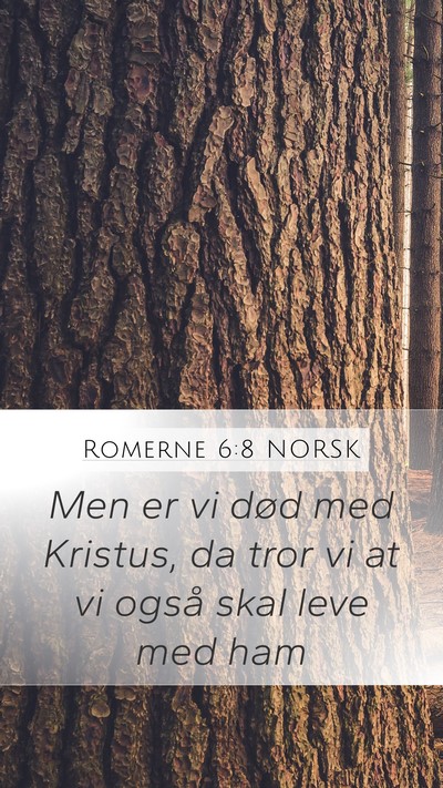 Romerne 6:8 NORSK Bible Verse Image