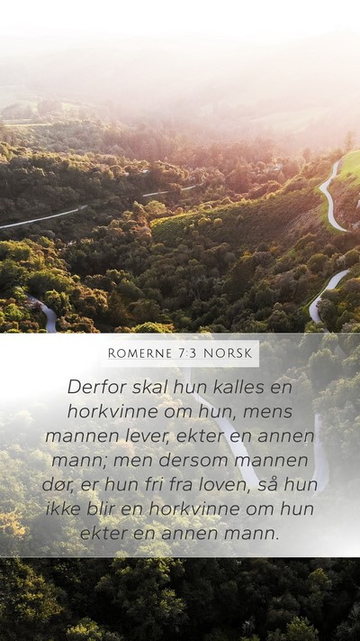 Romerne 7:3 NORSK Bible Verse Image
