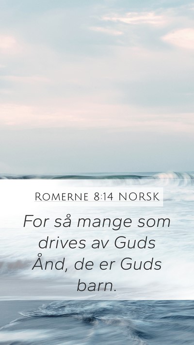Romerne 8:14 NORSK Bible Verse Image