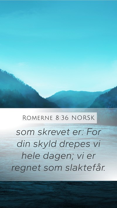 Romerne 8:36 NORSK Bible Verse Image