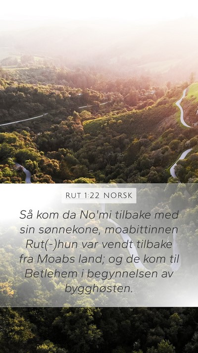 Rut 1:22 NORSK Bible Verse Image