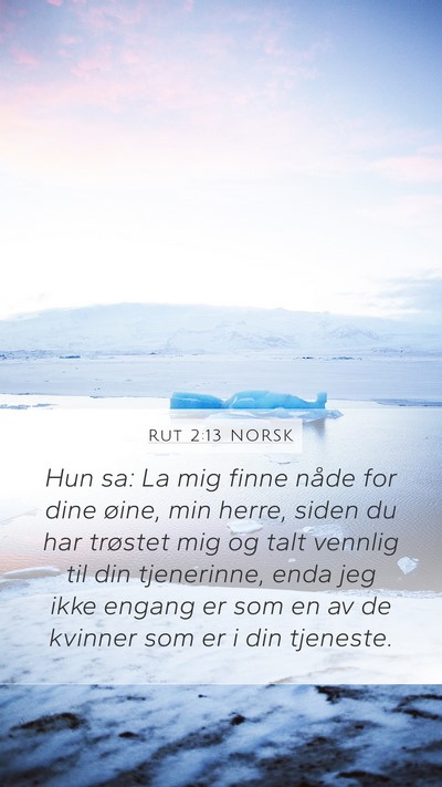 Rut 2:13 NORSK Bible Verse Image