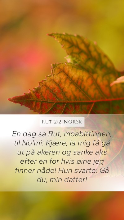 Rut 2:2 NORSK Mobile Phone Wallpaper - En dag sa Rut, moabittinnen, til No'mi: Kjære, - Mobile Bible Verse Wallpaper