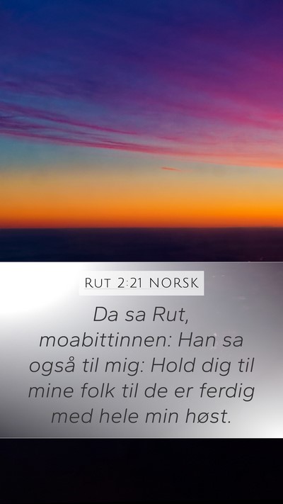 Rut 2:21 NORSK Mobile Phone Wallpaper - Da sa Rut, moabittinnen: Han sa også til mig: - Mobile Bible Verse Wallpaper