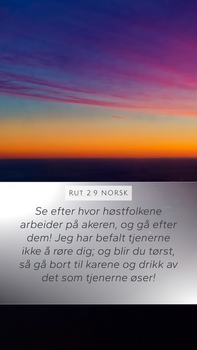 Rut 2:9 NORSK Bible Verse Image