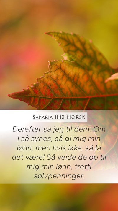Sakarja 11:12 NORSK Bible Verse Image