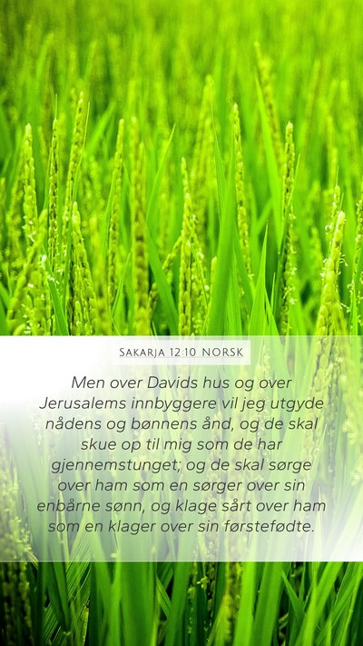 Sakarja 12:10 NORSK Bible Verse Image