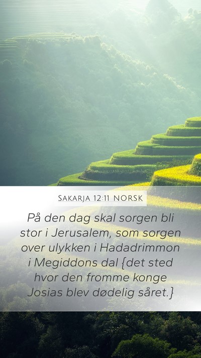 Sakarja 12:11 NORSK Bible Verse Image